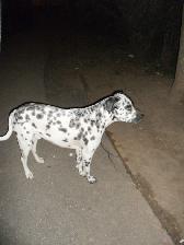 20120414v00az0kfv.jpg